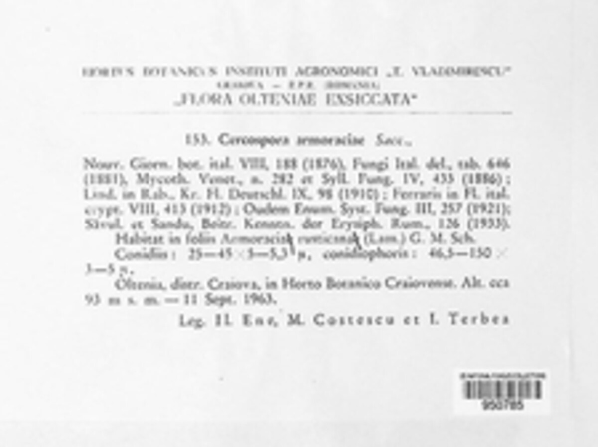 Cercospora armoraciae image